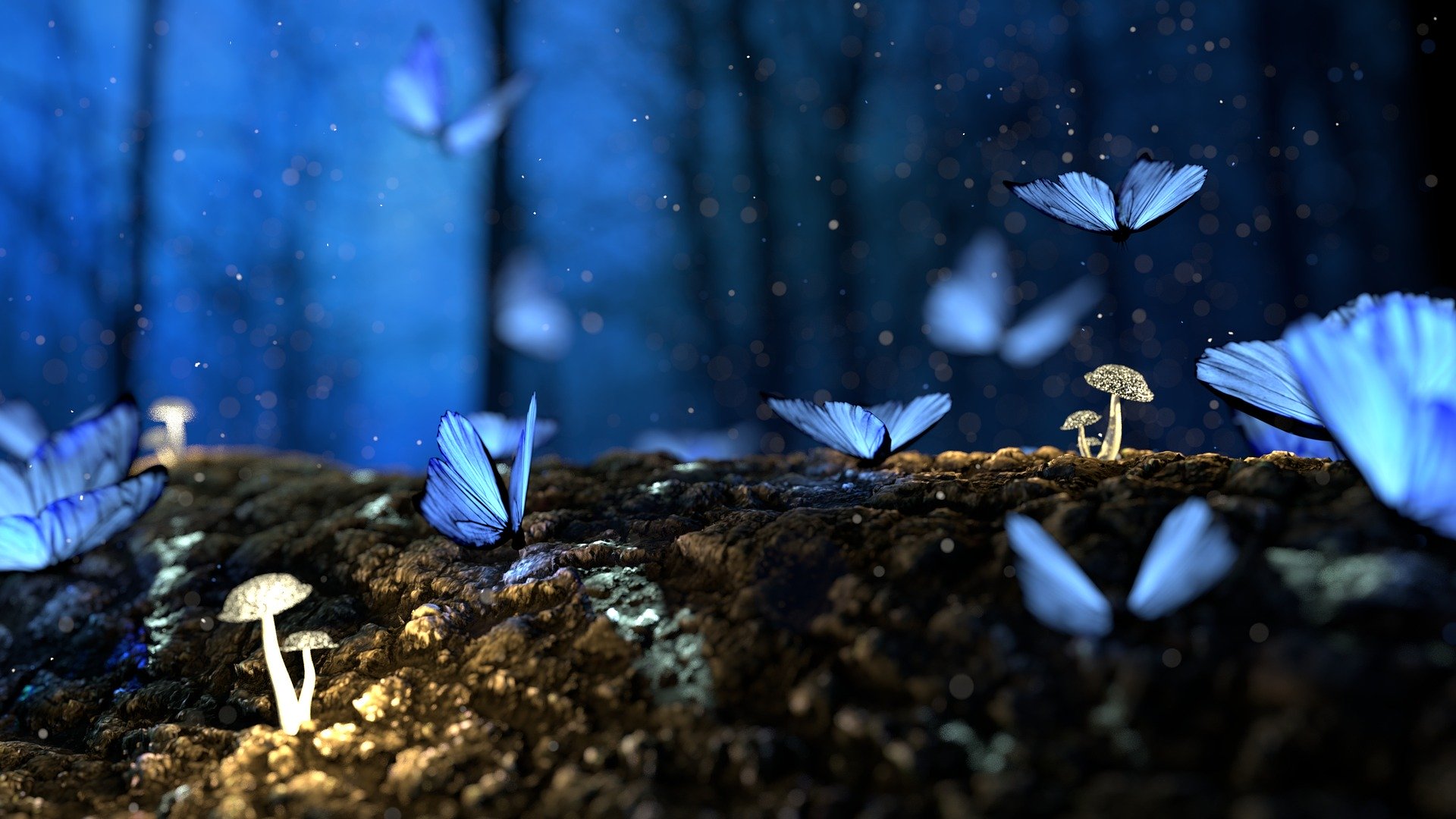  Butterfly Blue Forest