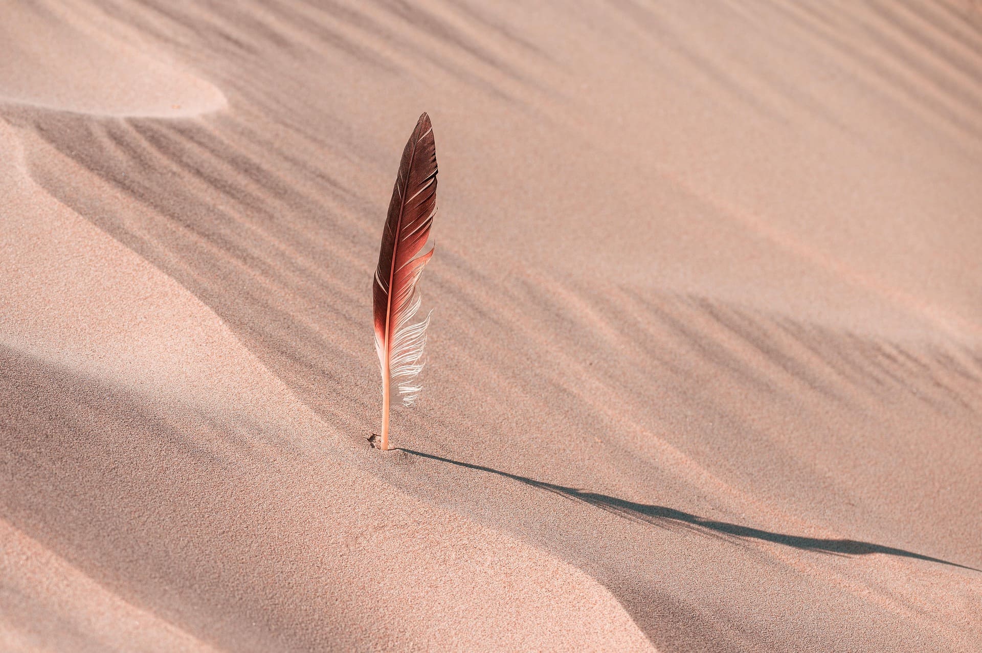 Feather